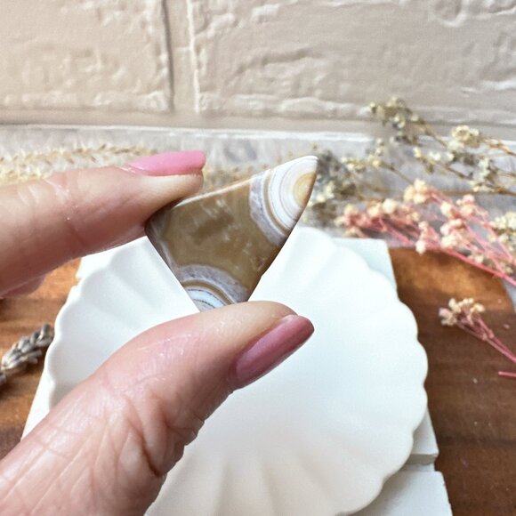 Set of 10 Small Ocean Jasper Tumbles - Picture 5 of 10